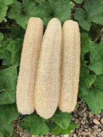 3 piece Chiltanpure Body Sponge Exfoliating Natural Loofah for Deep Cleaning Bath And Body