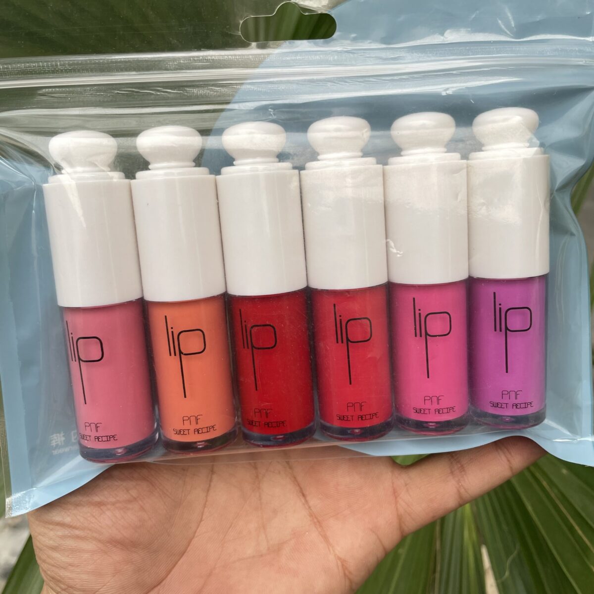 PNF Lip Gloss Pack of 6